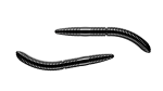 Libra Lures Fatty D Worm 65mm, Cheese, Black